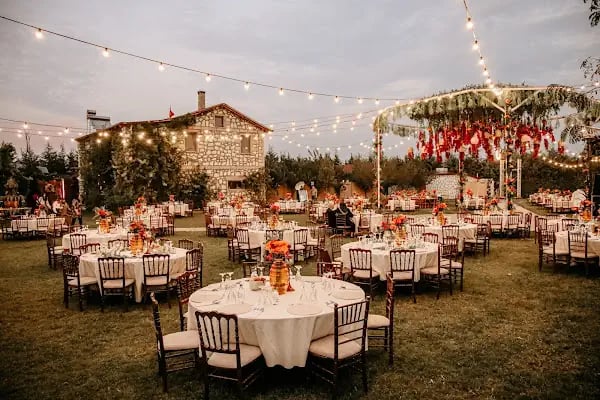 Taşkonak Deluxe Wedding - Düğün Salonu , Kafe ve Restoran - Resim 2