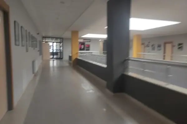 Kocaeli Üniversitesi Genetik - Resim 4