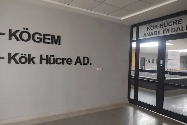 Kocaeli Üniversitesi Genetik - Resim 6