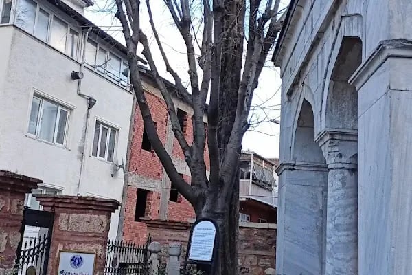 Devlet Hatun Türbesi - Resim 7
