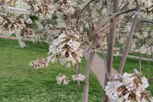 Akın Özdemir Parkı - Resim 9