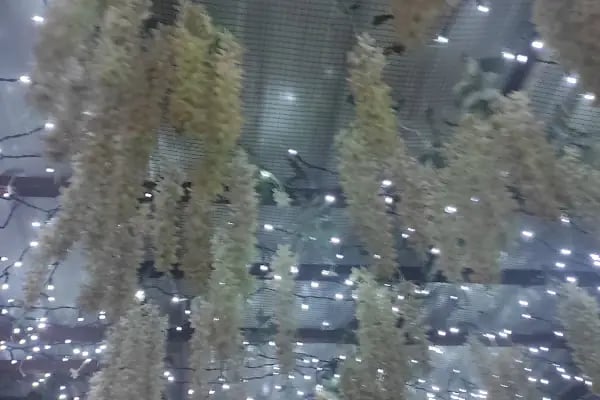 Bahçe Kir Düğün Salonu - Resim 4