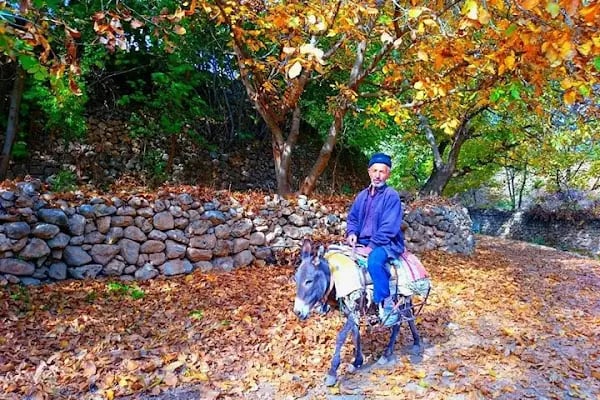 Nolu Çocuk ve Dinlenme Parkı - Resim 5