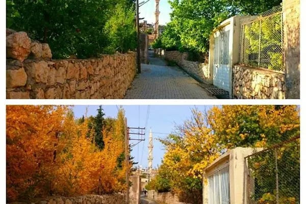 Nolu Çocuk ve Dinlenme Parkı - Resim 4