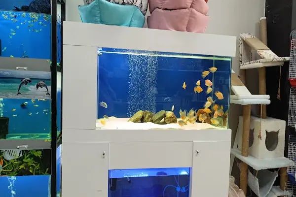 ELİT PETSHOP - Resim 9
