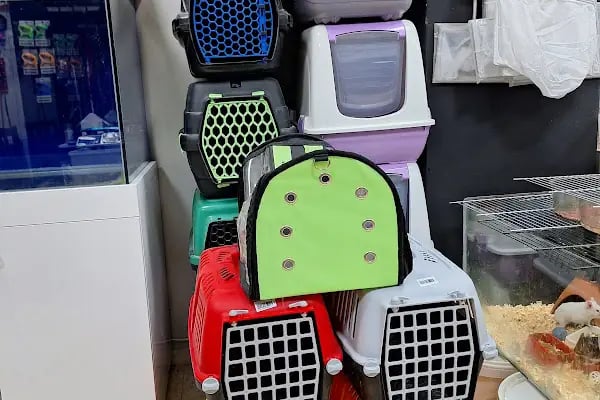 ELİT PETSHOP - Resim 20