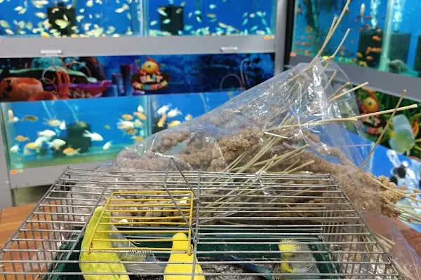 ELİT PETSHOP - Resim 7