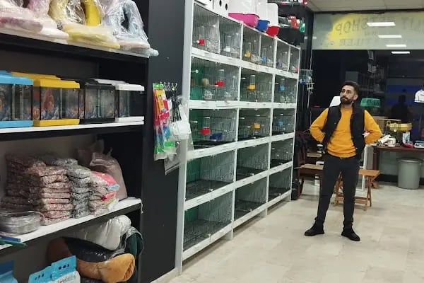 ELİT PETSHOP - Resim 14