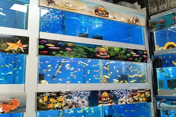 ELİT PETSHOP - Resim 3