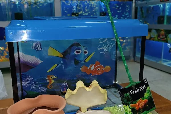 ELİT PETSHOP - Resim 15
