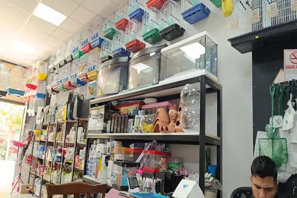 ELİT PETSHOP - Resim 8
