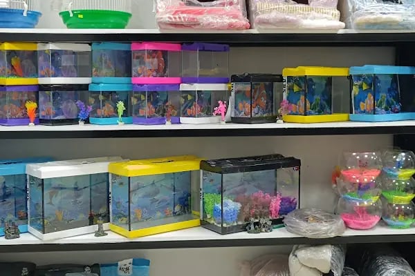 ELİT PETSHOP - Resim 13