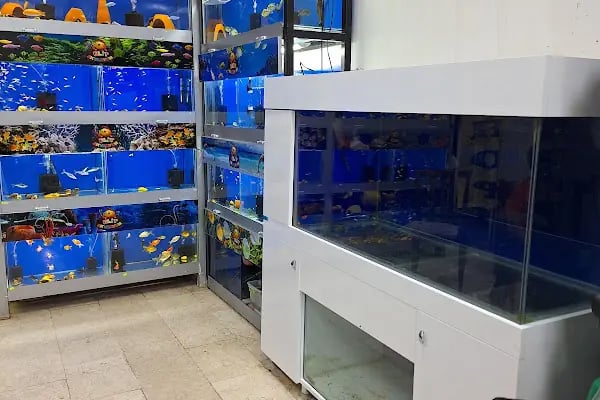 ELİT PETSHOP - Resim 17