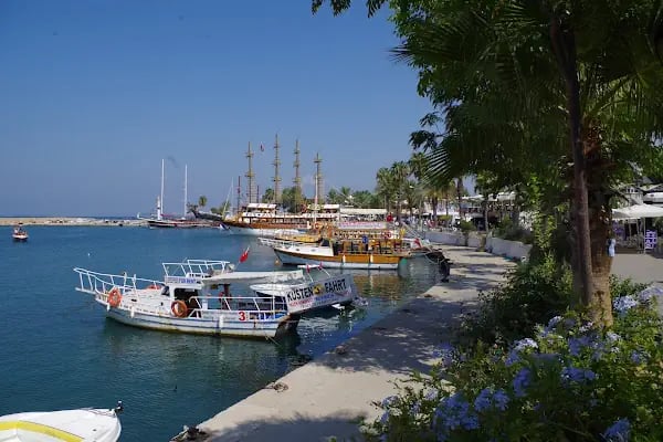 Side Harbour - Resim 20