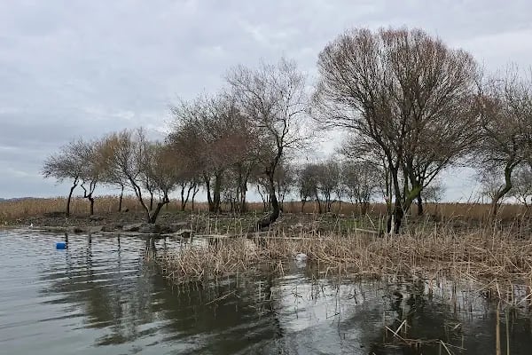 Gölyazı Apollon Tapınağı - Resim 2