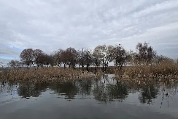 Gölyazı Apollon Tapınağı - Resim 5