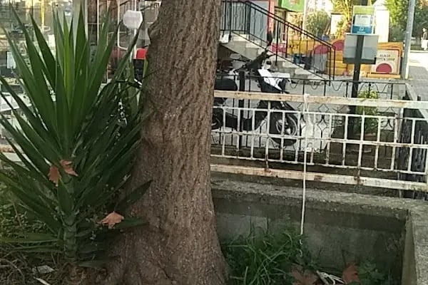 Atakum Bilgisayar - Resim 18