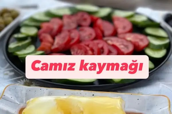 ÖLÇER ÇİFTLİĞİ ( Süleyman Demirel ŞUBESİ ) - Resim 17