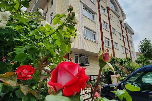 İskitler Nur Medresesi -- Dersanesi - Resim 2