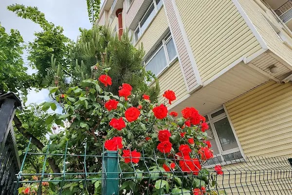 İskitler Nur Medresesi -- Dersanesi - Resim 3