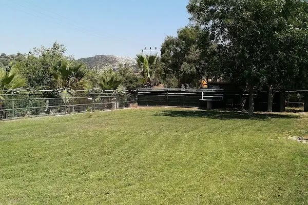 Bodrum Atlı Spor Kulübü - At Safari - Pony Binişi - Resim 10