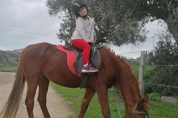 Bodrum Atlı Spor Kulübü - At Safari - Pony Binişi - Resim 6
