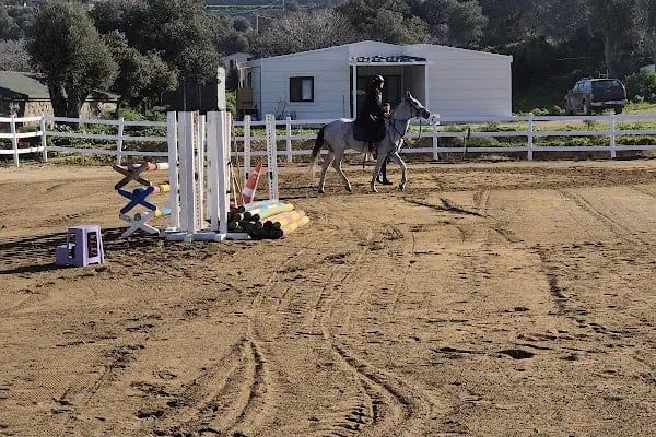 Bodrum Atlı Spor Kulübü - At Safari - Pony Binişi - Resim 9