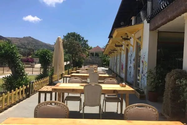 Bodrum Atlı Spor Kulübü - At Safari - Pony Binişi - Resim 20
