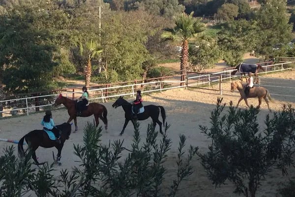Bodrum Atlı Spor Kulübü - At Safari - Pony Binişi - Resim 1
