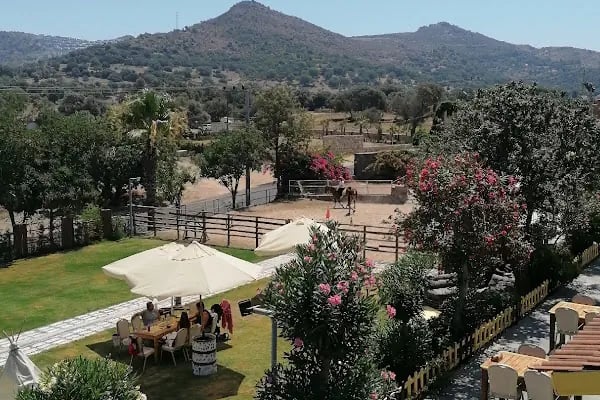 Bodrum Atlı Spor Kulübü - At Safari - Pony Binişi - Resim 2