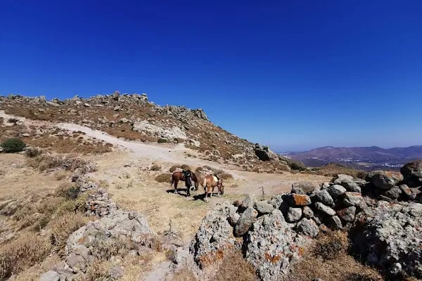 Bodrum Atlı Spor Kulübü - At Safari - Pony Binişi - Resim 14