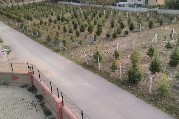 Greenlife - Resim 6