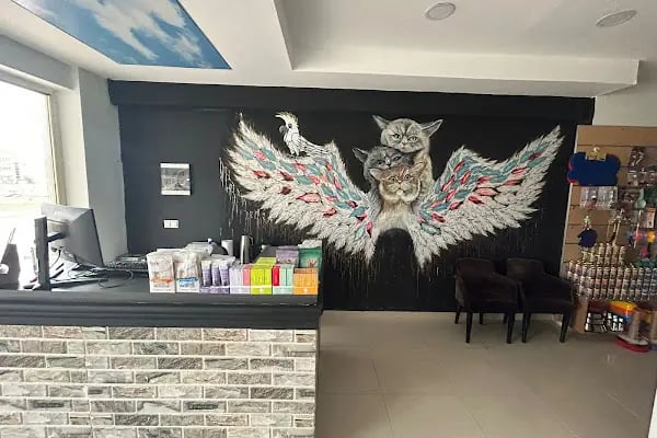 Belek Alfa Veteriner Kliniği - Resim 8