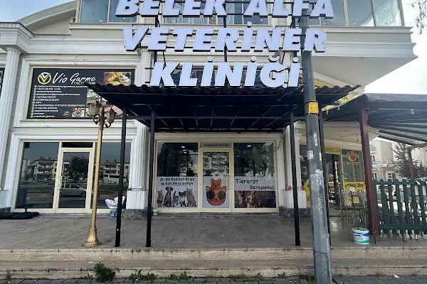 Belek Alfa Veteriner Kliniği - Resim 2