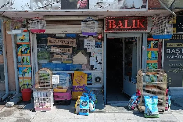 Yılmaz akvaryum &amp; petshop güneşli - Resim 1