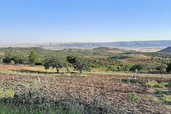 Yaylacık İlkokulu - Resim 3
