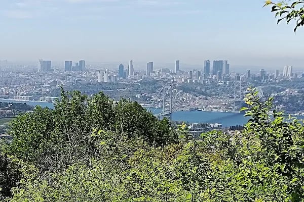 Mehmet Akif Ersoy Orta Okulu - Resim 3