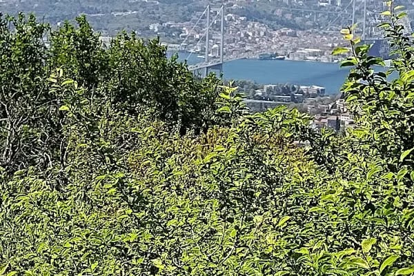 Mehmet Akif Ersoy Orta Okulu - Resim 4