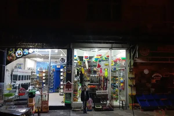 Çunar Pet Shop Aruaryum - Resim 1