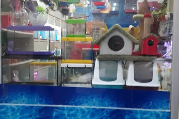 Çunar Pet Shop Aruaryum - Resim 2