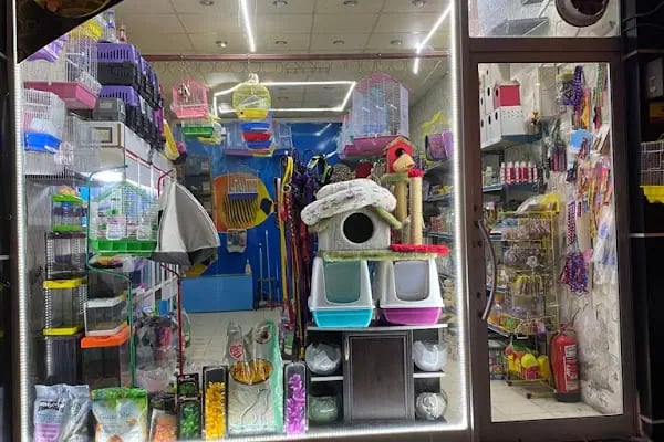 Çunar Pet Shop Aruaryum - Resim 4