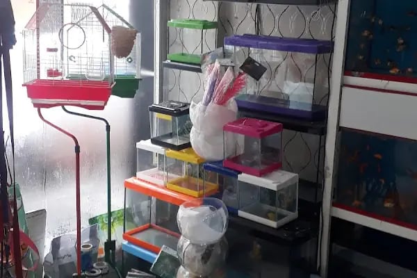 Çunar Pet Shop Aruaryum - Resim 3