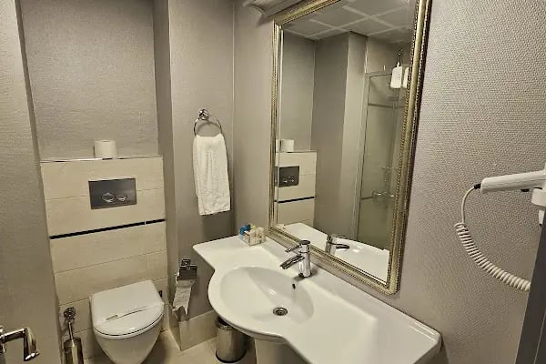 Alfin Hotel - Resim 10