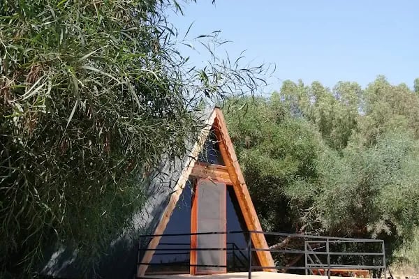 Dragon Motel - Resim 3