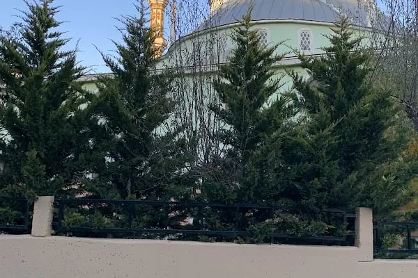 Çerkezköy Müftülüğü Yeşil Cami - Resim 11