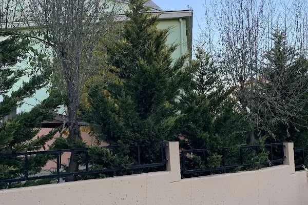 Çerkezköy Müftülüğü Yeşil Cami - Resim 5