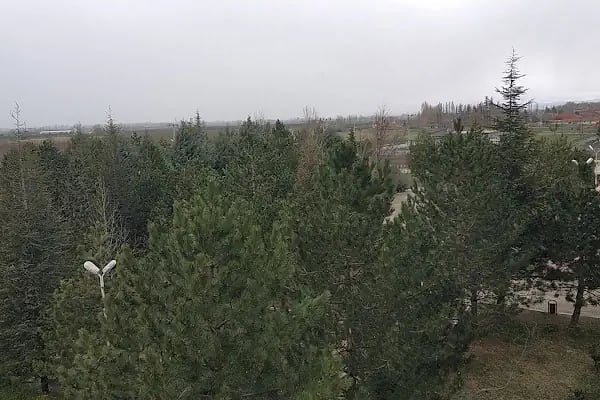 Selçuk Üniversitesi Akşehir Meslek Yüksekokulu - Resim 5