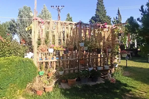 Aslan Grand Düğün Salonları - Resim 8