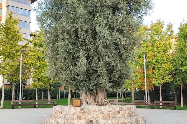 Anneler Parkı - Resim 16
