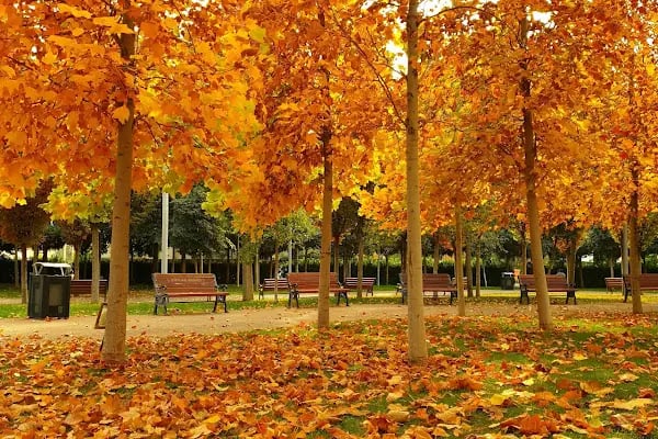 Anneler Parkı - Resim 13